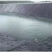 养殖膜0.3mm鱼虾养殖池防水布