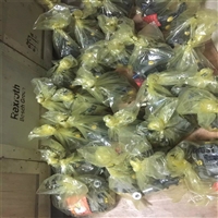 力士乐溢流阀DBW30A2-52/100YU6EW110N9K4