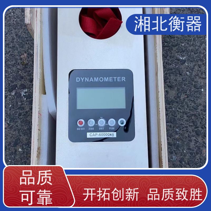 MOTIVE推拉力计DS2-SMYS-500N 高精度测量 非定制款