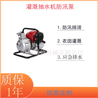 防汛移动泵车 大流量自吸泵排涝抢险抗洪水泵300/100立方