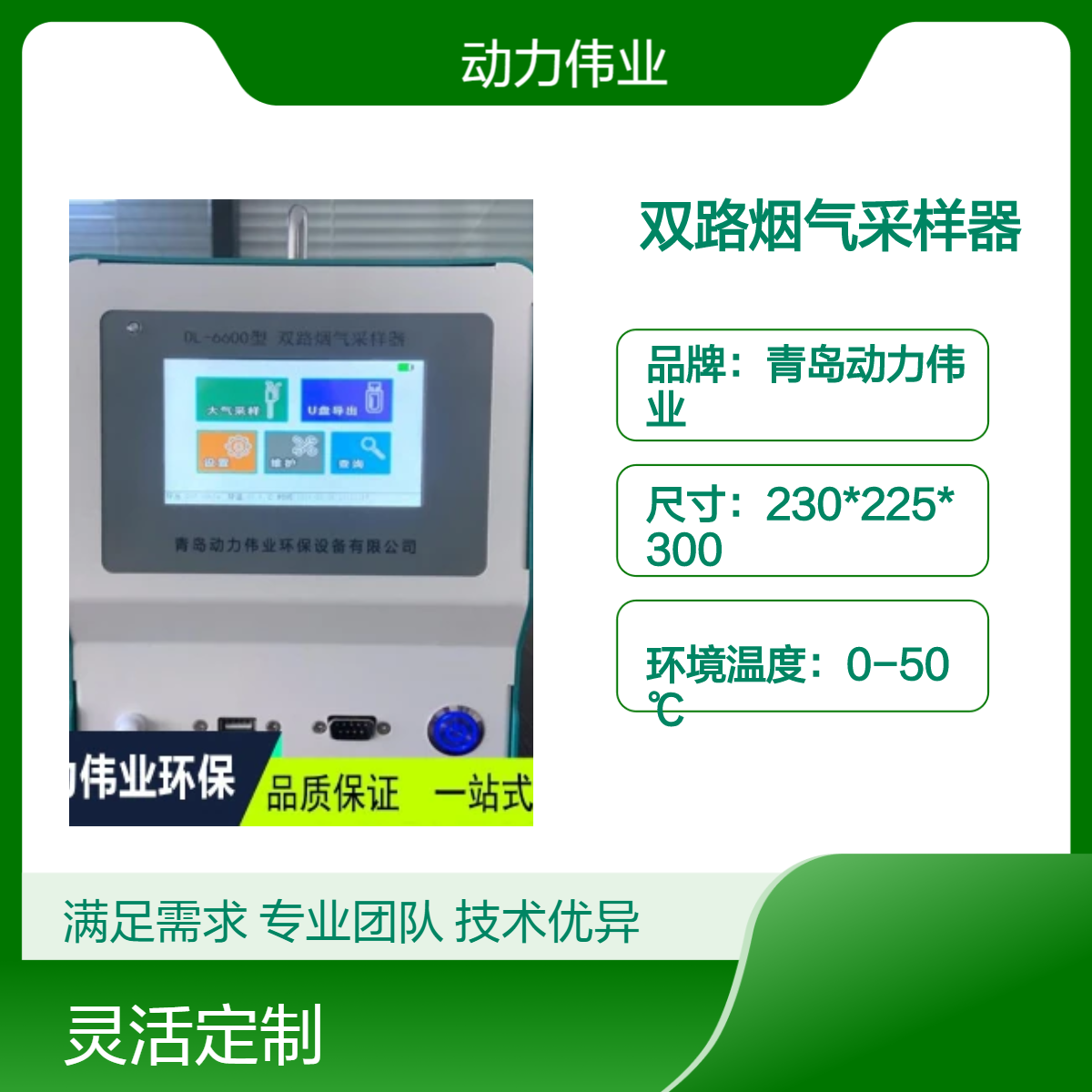 固定污染源废气DL-6600型双路烟气采样器0.2-1.5L/min