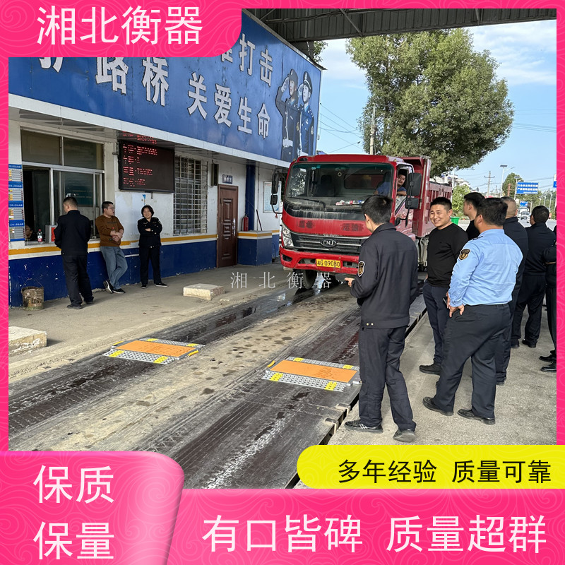 单板30T称重仪 无线一拖二便携式汽车衡 轴重秤 便捷式移动地磅