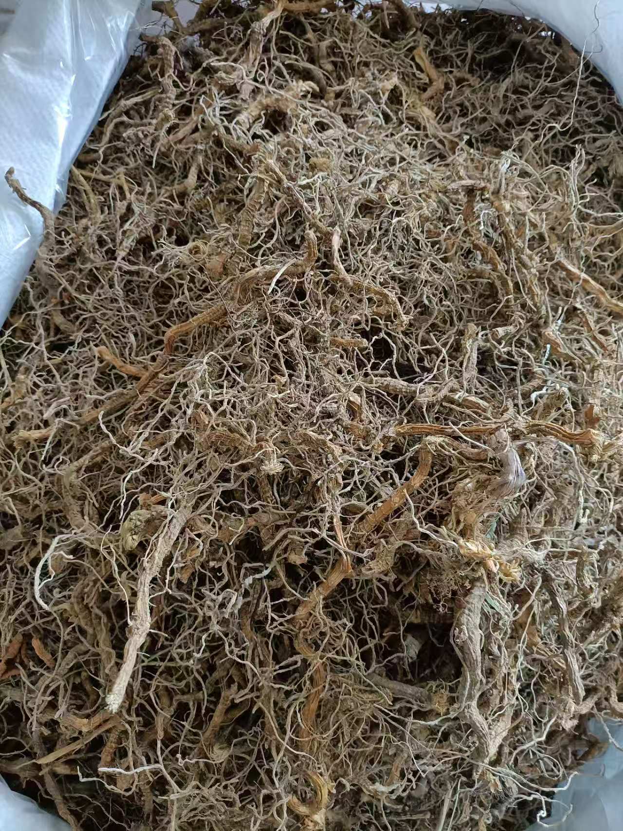 习木堂 入地蜈蚣 当年新货 无硫 品质好 自然晒干 包邮