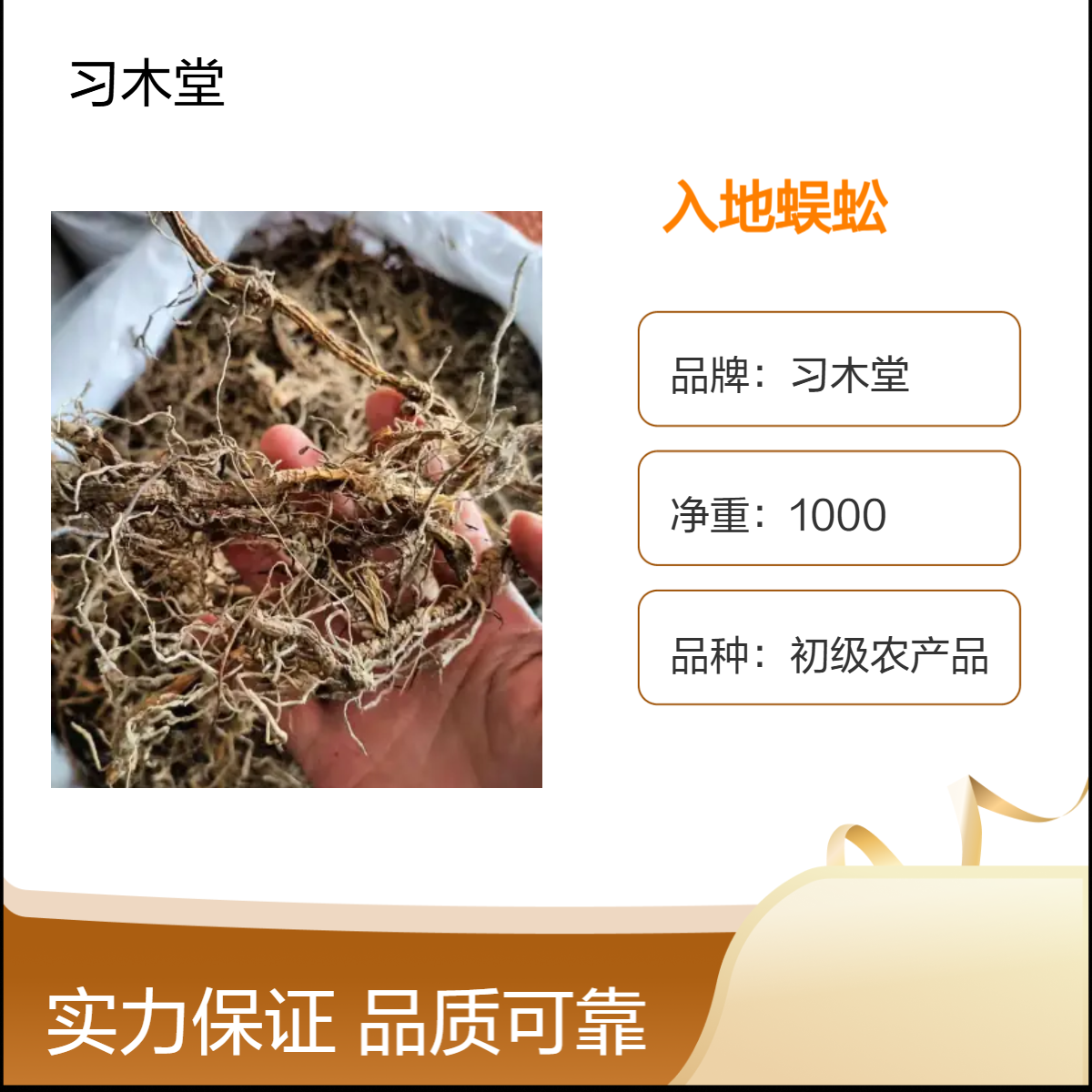 批发入地蜈蚣 蜈蚣草 新货 无硫 无杂质 正品 全国发货 包邮