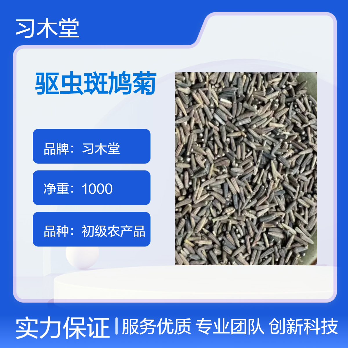 供应 冷背药材 驱虫斑鸠菊 无硫 新货 品质正宗 产地直发