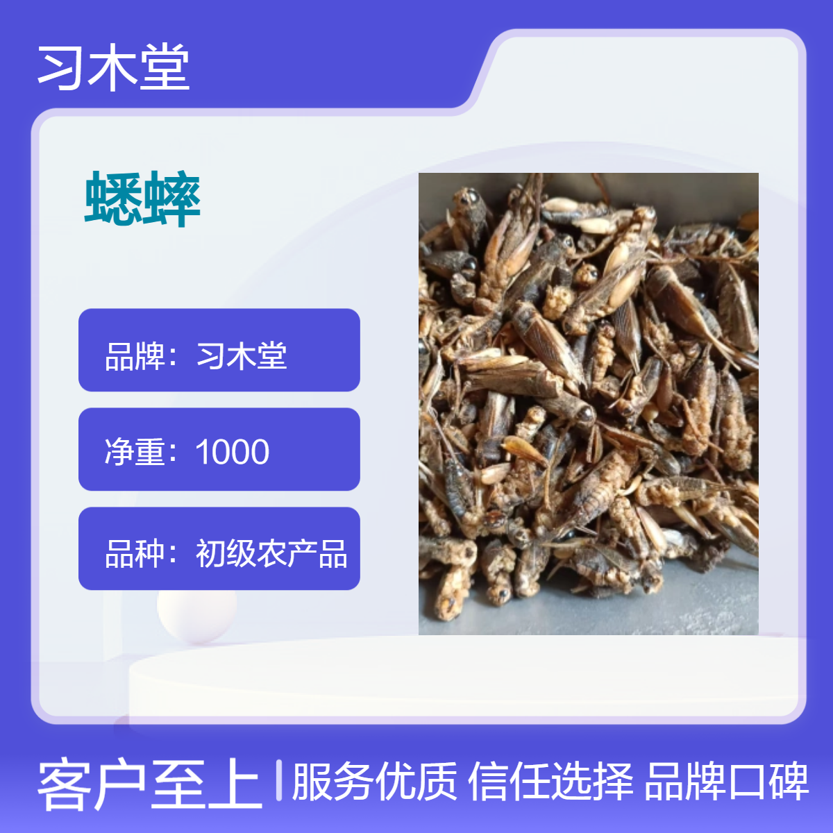 中药材 蟋蟀 批发 无硫 干净 无杂质 保质保量 产地直售