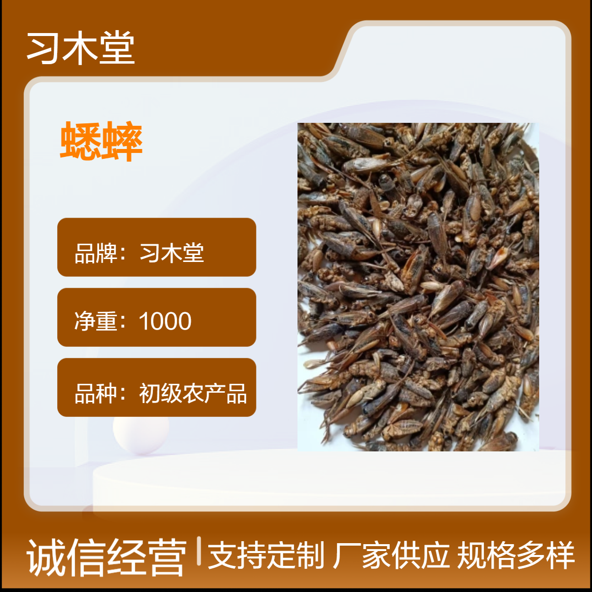 批发昆虫类药材 蟋蟀 蛐蛐 当季新货 无硫 自然晒干 品质好