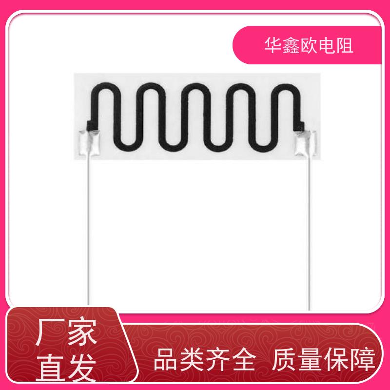 HXO 交期稳定 高压电阻器公司 30W 阻值10G