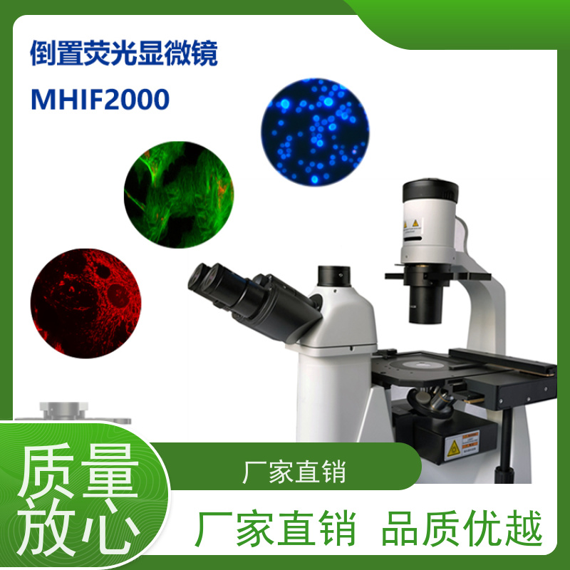 明慧 活体观察 看荧光的显微镜 研究 福建