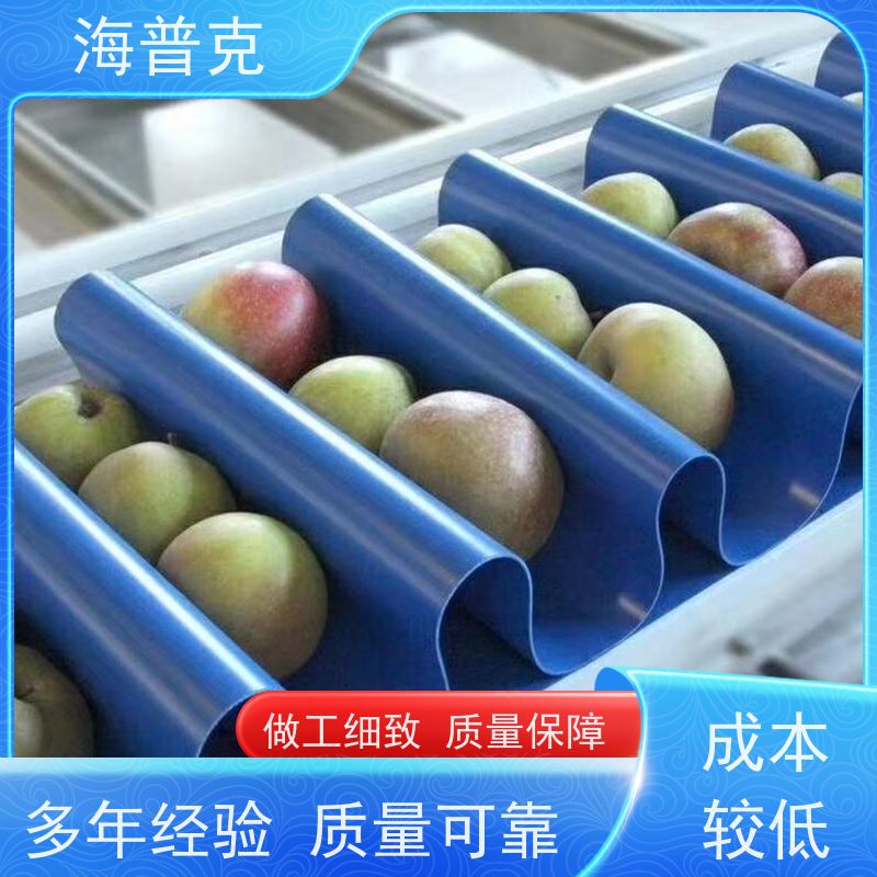 海普克 PVC输送带 饼干糖果生产线 薄款耐磨低噪音 耐高温