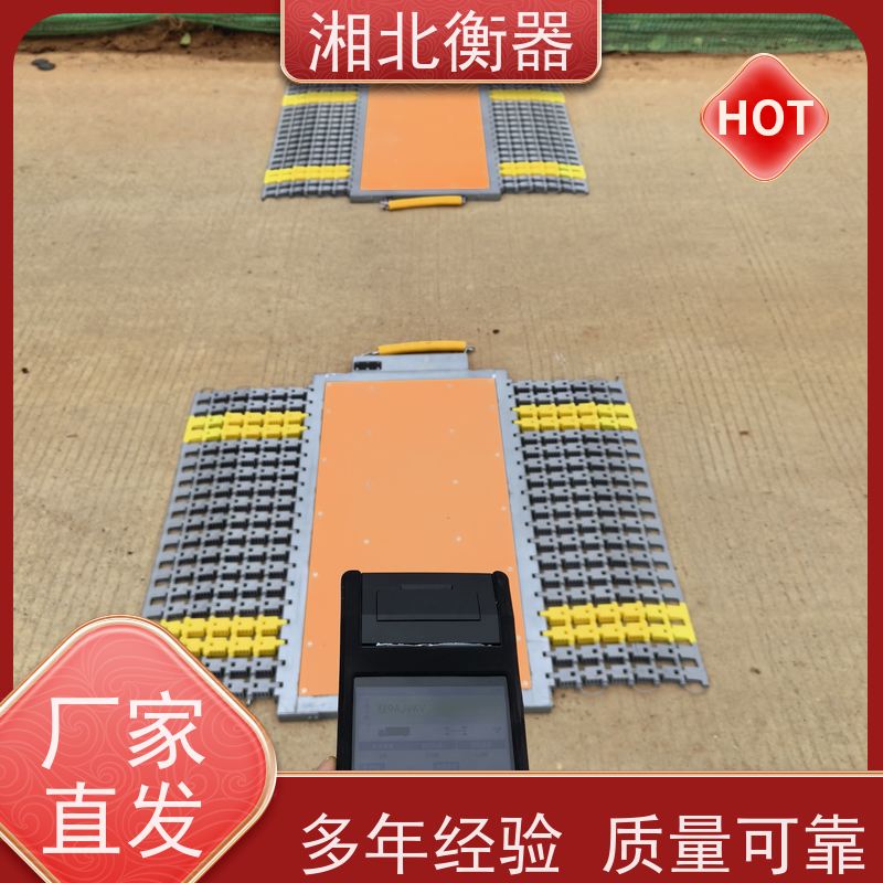无线静态6通道汽车称重仪 车辆轮重轴重计量系统 便携式地磅