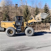 营口铲车电子秤安装电话 厂家现场指导 价格合理