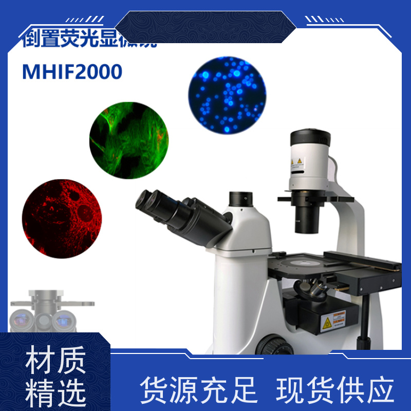 明慧 适合活体细胞、组织观察 看荧光的显微镜 检验科