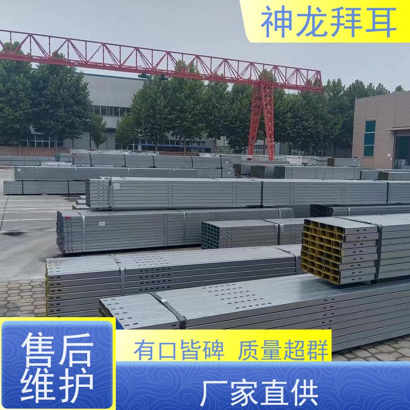 河北神龙拜耳 光伏支架成型机 耐用 厂家