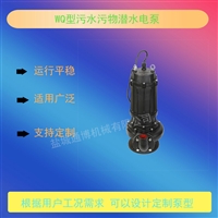 1寸高扬程带浮球304抽水泵WQ潜水排污泵