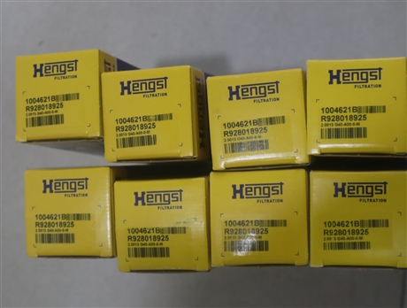 R928018925 2.0013 G40-A00-0-M 1004621B 德国汉格斯特HENGST滤芯