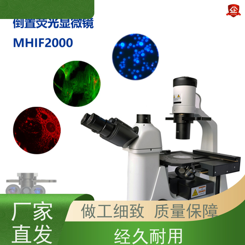 明慧 研究 荧光倒置生物显微镜 广州 满足不同实验场景需求
