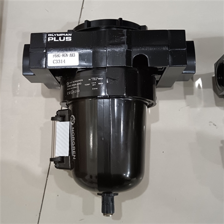 B64G-NNK-MD3-RMN NORGREN过滤器