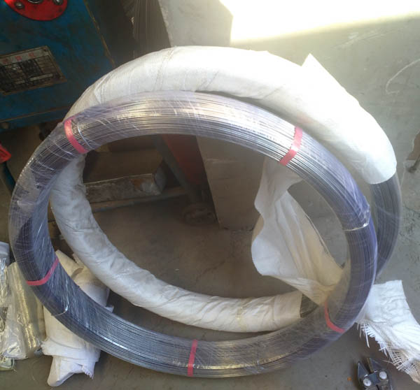 出口阿根廷乌拉圭16*14 Z-600 1000米一卷热度锌椭圆钢丝