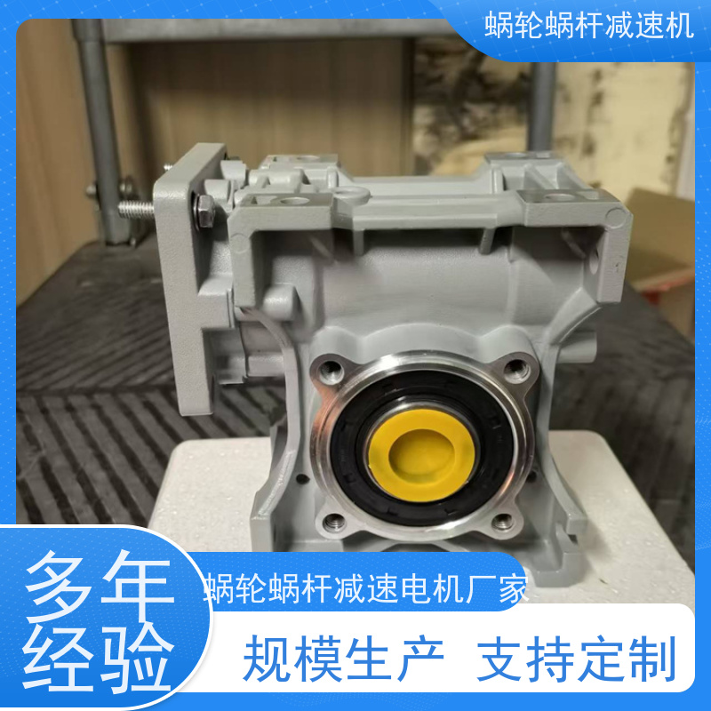 涡轮蜗杆减速机 NMRV025 防爆电机 上料机 艾思捷