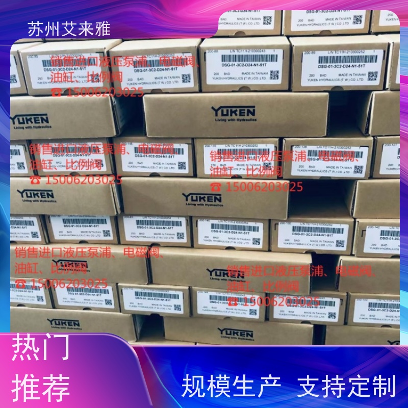          油研凸轮换向阀YUKEN注塑机安全阀DCG-01-2B2-40液压阀