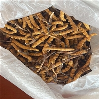 黄石市礼品回收电话多少