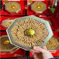 武汉市青山区冬虫夏草散装回收找哪家