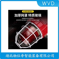 YG-2460PA 防爆声光报警器 WVD