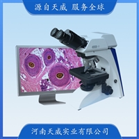 TW-BK6000E2000一体化数码显微镜 2000万摄像系统双目生物显微镜