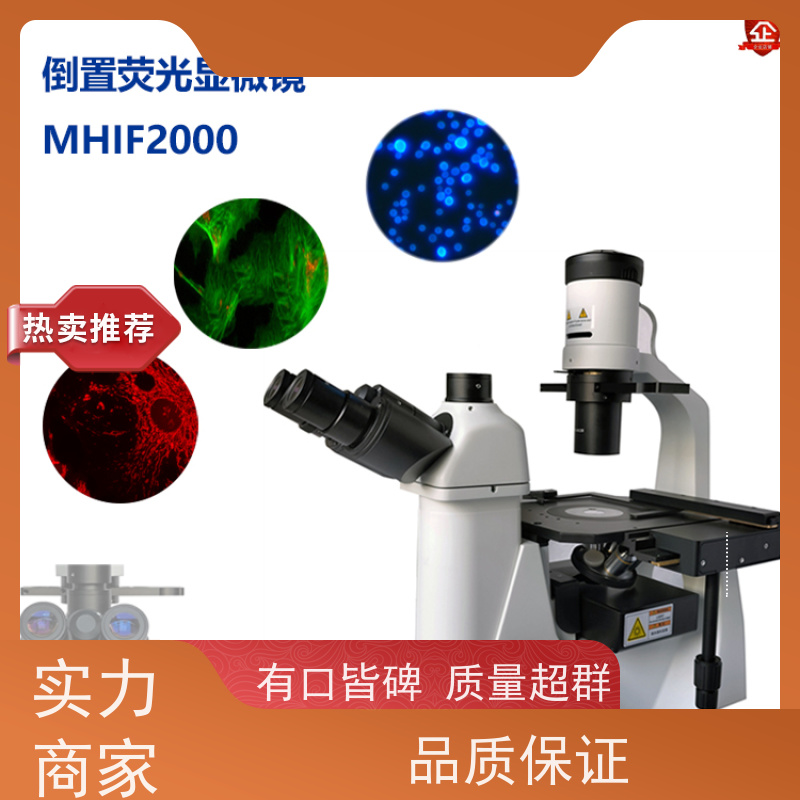 明慧 荧光倒置生物显微镜 活细胞分裂过程观测 应用于疾病机制 广西