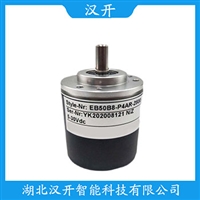 半空心轴编码器EC50H8-H6PA-360汉开