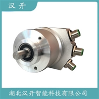 值编码器PAMM115A10-BF6XTR-4096/8192汉开