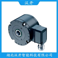 实心轴编码器EC50A10-H6PA-1024汉开