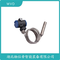 CY3011船舶液位变送器WVD