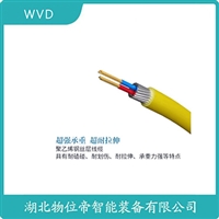 LDUS扩散硅液位变送器WVD