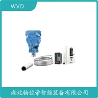 ZP330投入式液位变送器WVD