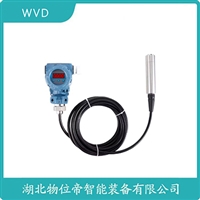 JCJ800I1S2P21V5投入式液位变送器WVD