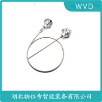 DaCW22-2A-32常温热电偶温度传感器WVD
