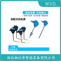 WRP-131贵金属铂铑热电偶WVD