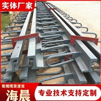 D80型单组式桥梁伸缩缝 公路桥面多组式变形缝装置 构造简单 海晨