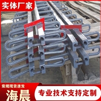 单组式异型钢桥梁伸缩缝 Z80多向变位变形缝装置 可定制安装 海晨