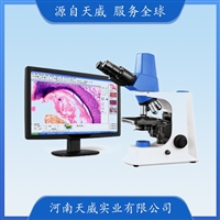 TW-SMARTe500数码生物显微镜 500万摄像系统一体化数码显微镜