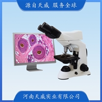 TW-B302E500数码生物显微镜 实验室一体化数码显微镜 500万像素