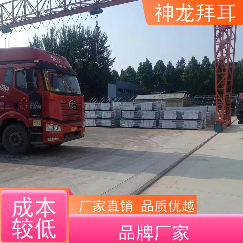 河北神龙拜耳 光伏支架打包机 人性化设计 价格