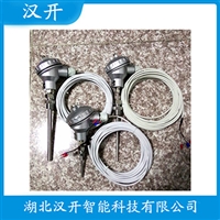 WZPK2-305铂铑热电阻汉开