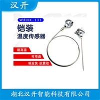 WZPK2233铂铑热电阻汉开