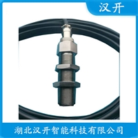 A21C1000振动温度传感器汉开