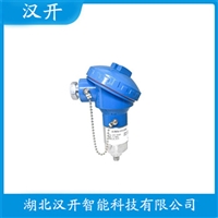 DTM10-301-A2-C0-E03-G0-10-S0齿轮箱振动传感器汉开
