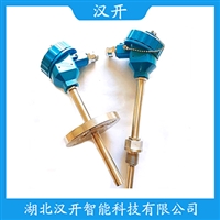 WRFK-491铂铑热电偶汉开