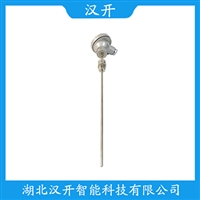 WRT2-331铂铑热电偶汉开